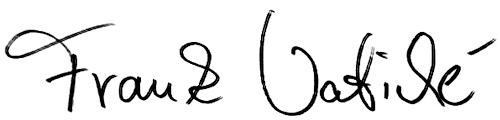 vatiche logo